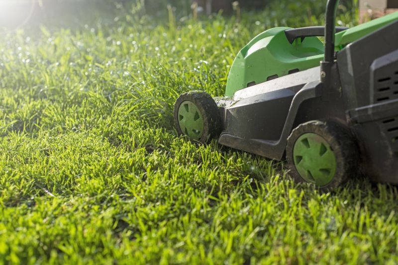 Lawn Maintenance Tools
