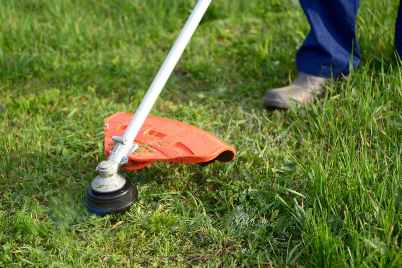 Lawn Weed Whacking