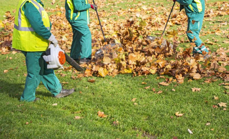 Leaf Mowing
