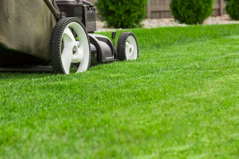 Long Grass Mowing