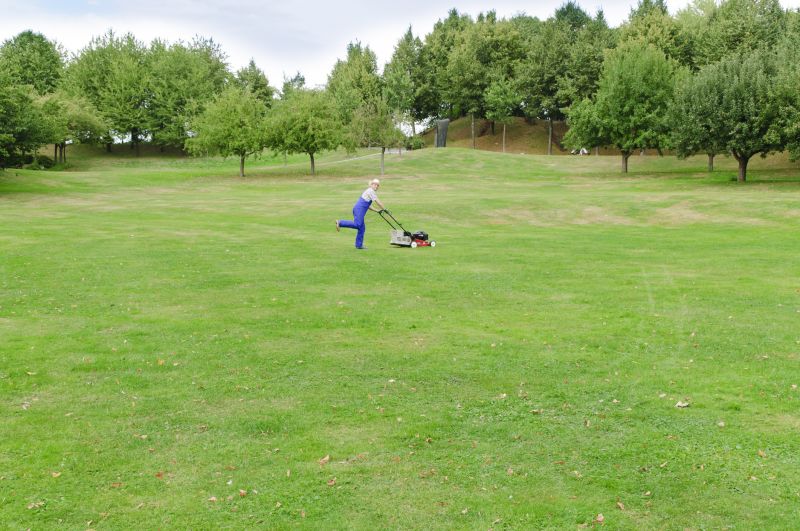 Lot Mowing