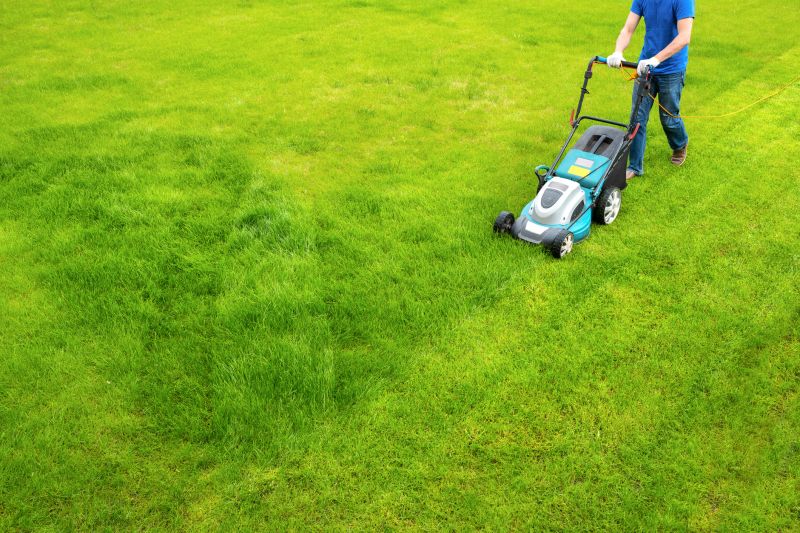 Mowing Service