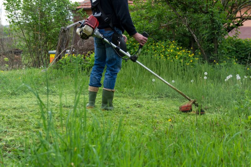 Overgrown Lawn Trimming