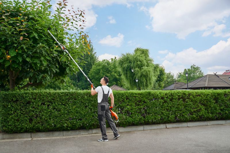 Overgrown Lawn Trimming