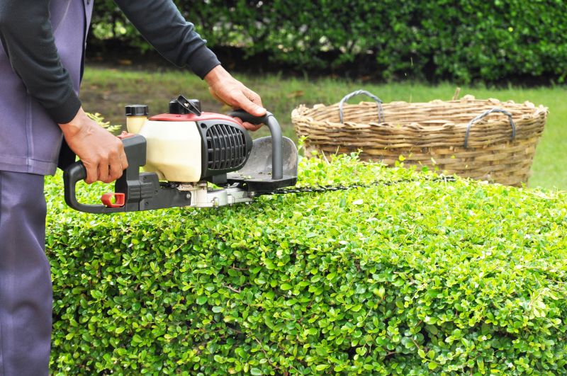 Overgrown Lawn Trimming