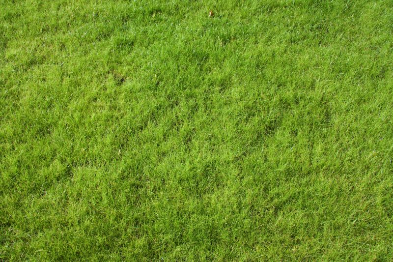 Residential Lawn Care