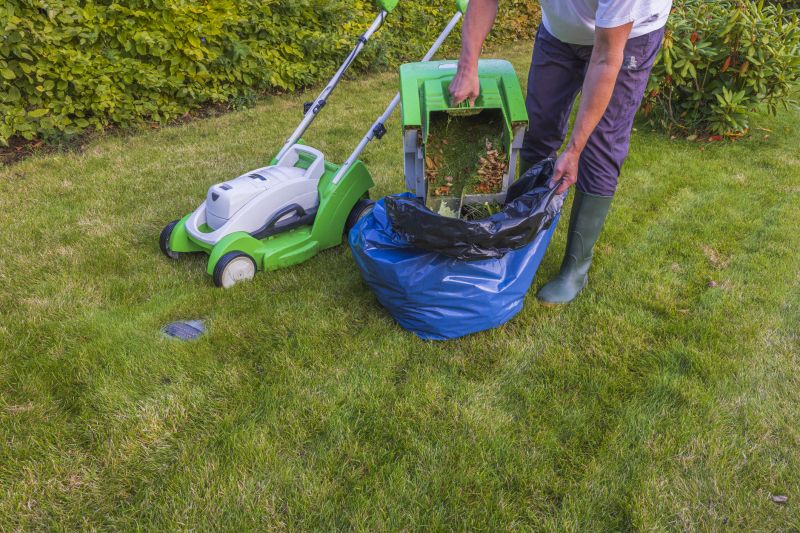 Residential Lawn Mowing