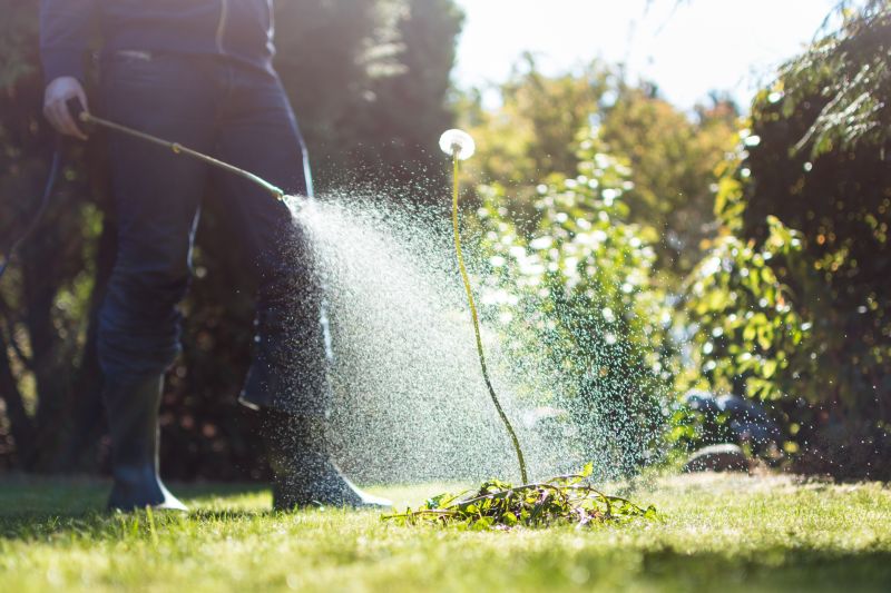 Routine Lawn Care