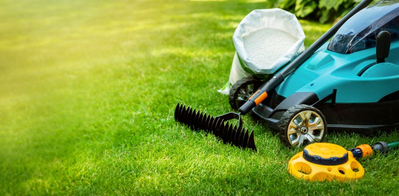 Routine Lawn Care