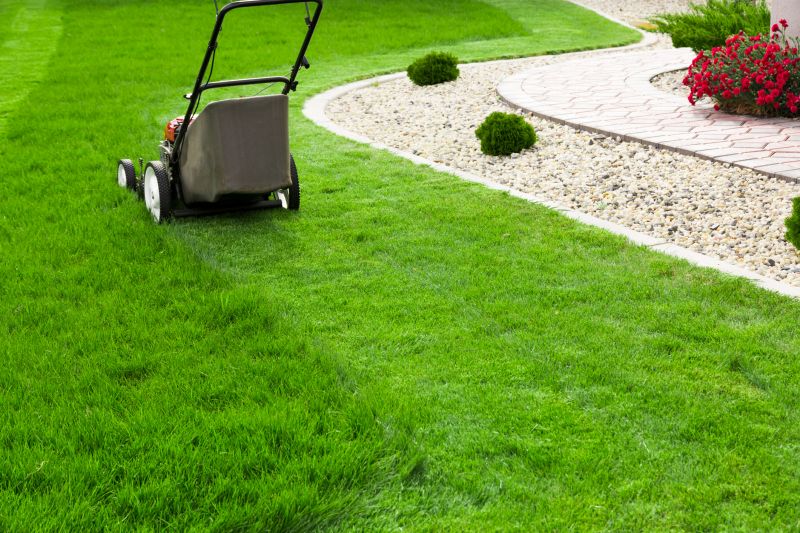 Routine Lawn Maintenance