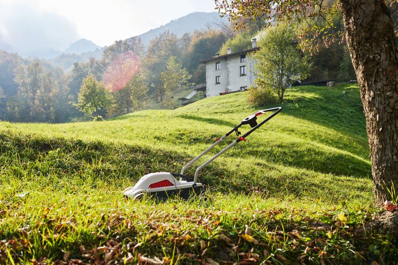 Sloped Area Mowing