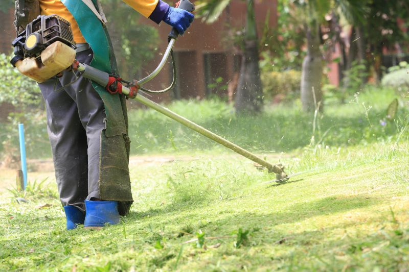 Spring Grass Trimming