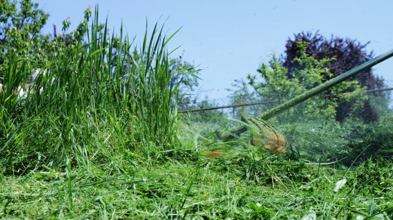 Spring Grass Trimming