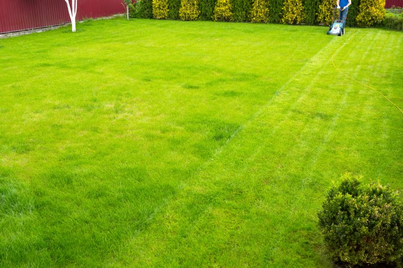Spring Lawn Care