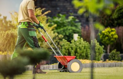 Springtime Lawn Care