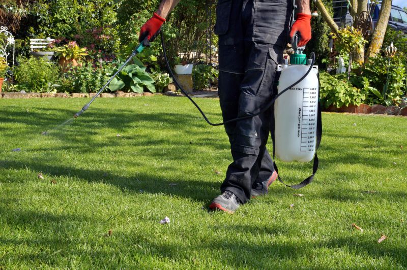 Springtime Lawn Care