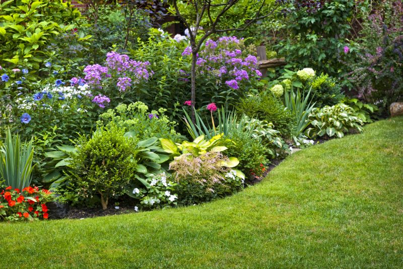 Springtime Lawn Care