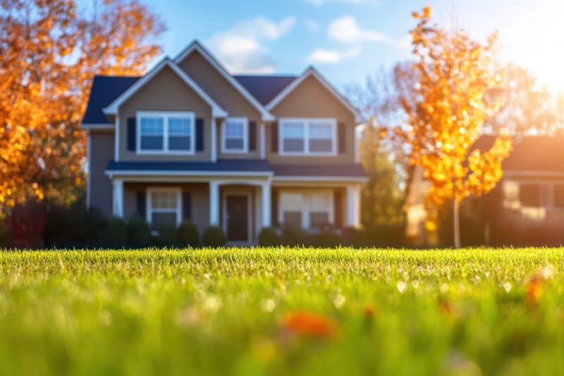 Summer Lawn Care