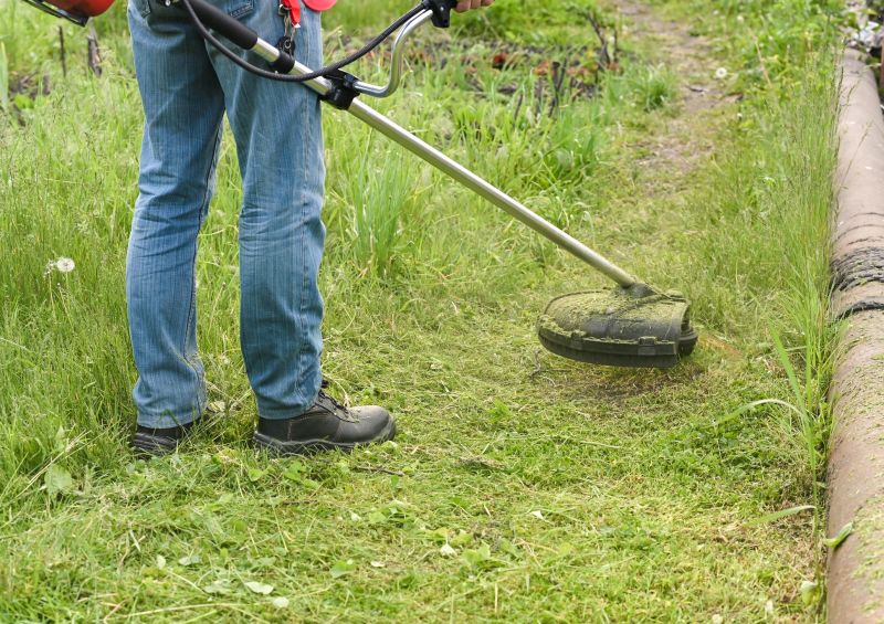 Tall Grass Cutting