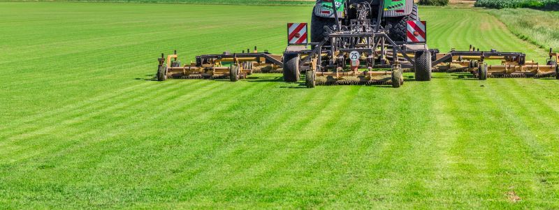 Tall Grass Cutting