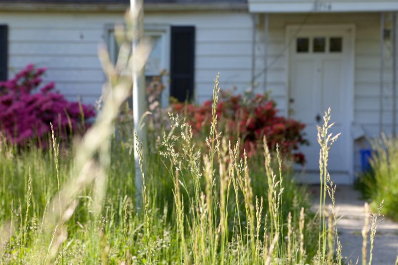 Tall Grass Mowing