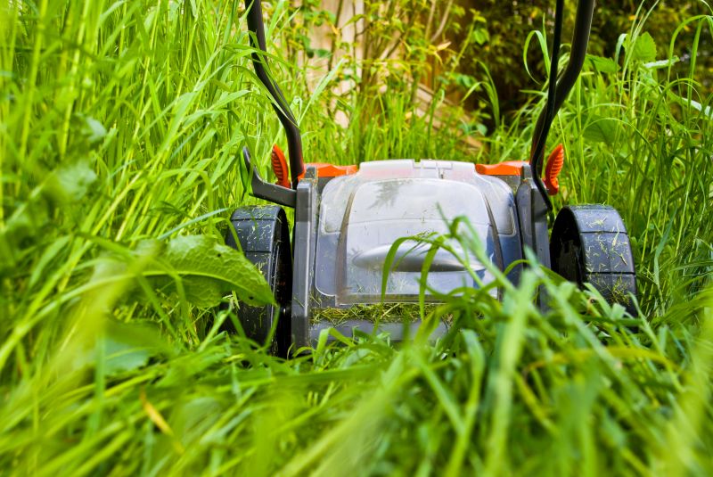 Tall Grass Mowing