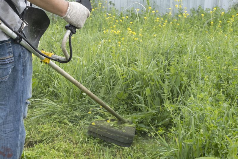 Tall Grass Trimming