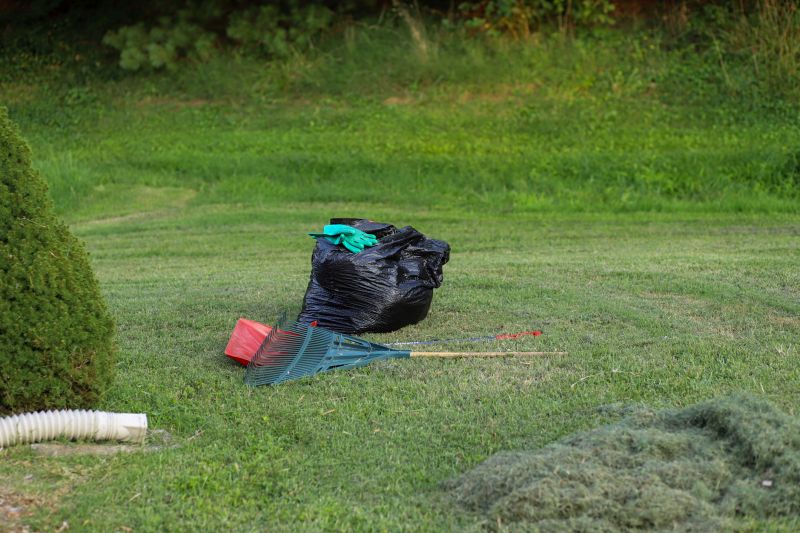 Thatch Removal Service