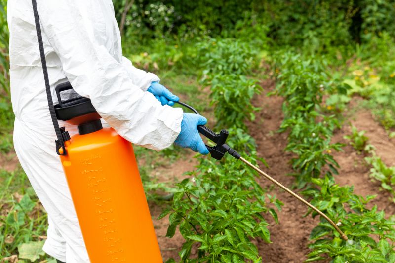 Weed Whacking