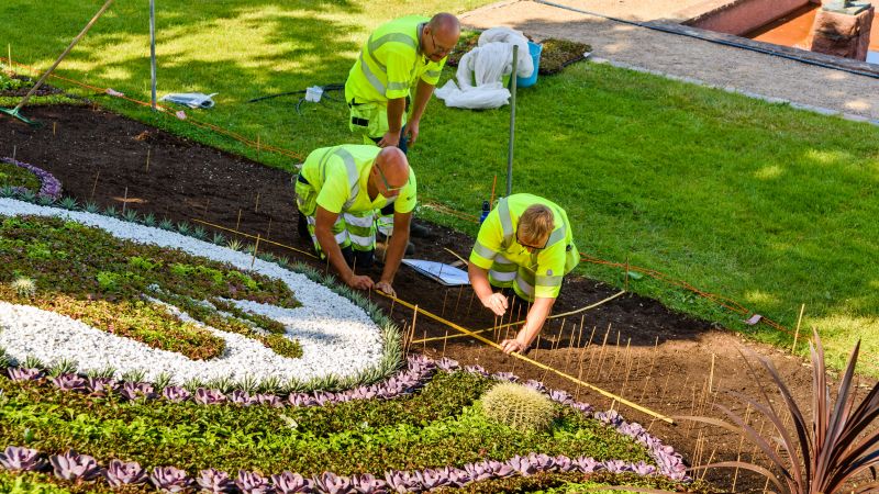 Yard Care Service