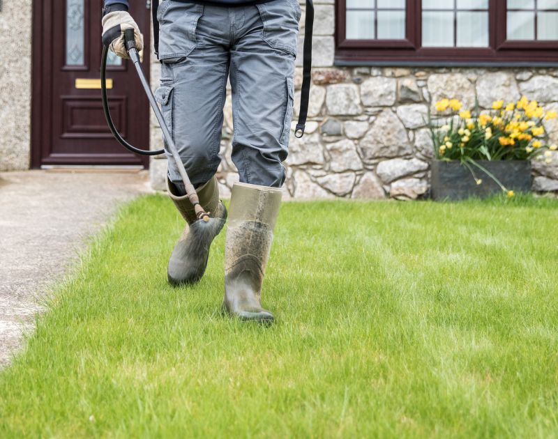 Yard Maintenance