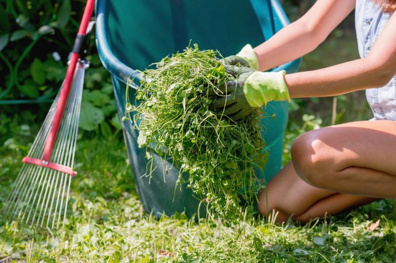 Yard Mowing