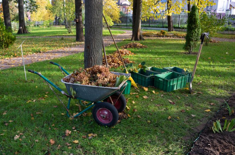 Yard Upkeep Service