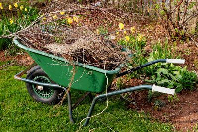 Yard Work Service